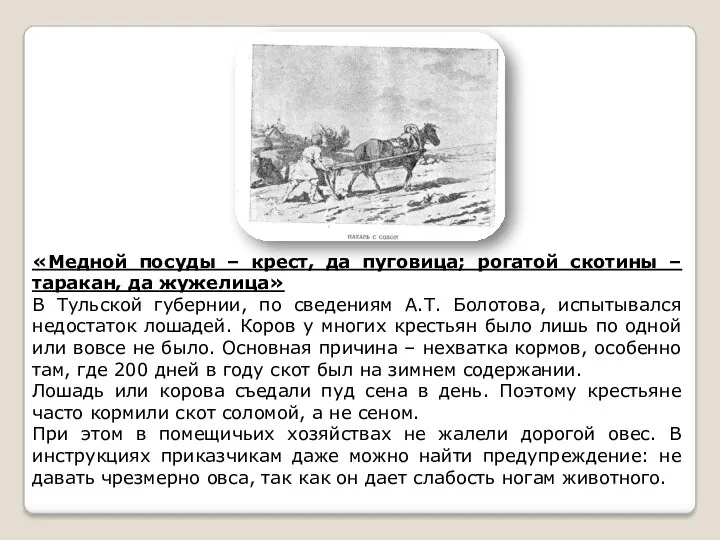 «Медной посуды – крест, да пуговица; рогатой скотины – таракан,