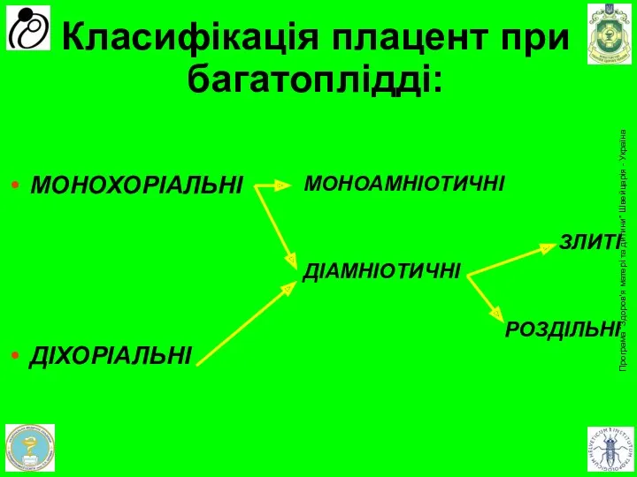 Класифікація плацент при багатоплідді: МОНОХОРІАЛЬНІ ДІХОРІАЛЬНІ МОНОАМНІОТИЧНІ ДІАМНІОТИЧНІ ЗЛИТІ РОЗДІЛЬНІ