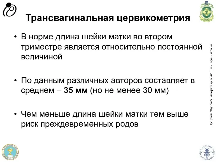 Трансвагинальная цервикометрия В норме длина шейки матки во втором триместре