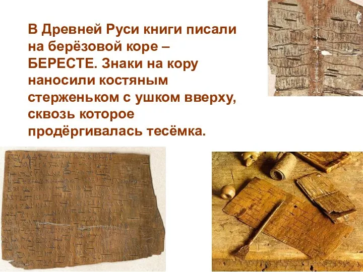 В Древней Руси книги писали на берёзовой коре – БЕРЕСТЕ.