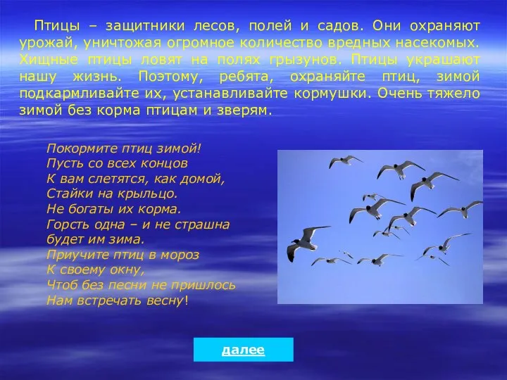 Птицы – защитники лесов, полей и садов. Они охраняют урожай,