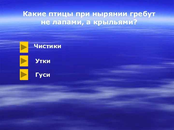 Какие птицы при нырянии гребут не лапами, а крыльями? Чистики Утки Гуси