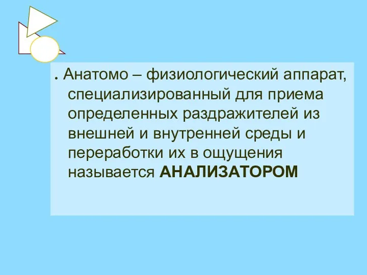 . Анатомо – физиологический аппарат, специализированный для приема определенных раздражителей