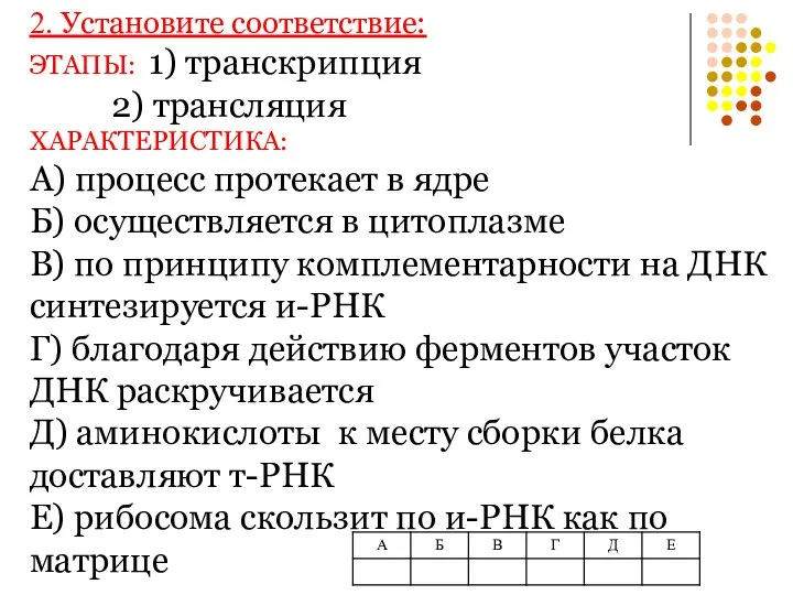 2. Установите соответствие: ЭТАПЫ: 1) транскрипция 2) трансляция ХАРАКТЕРИСТИКА: А)