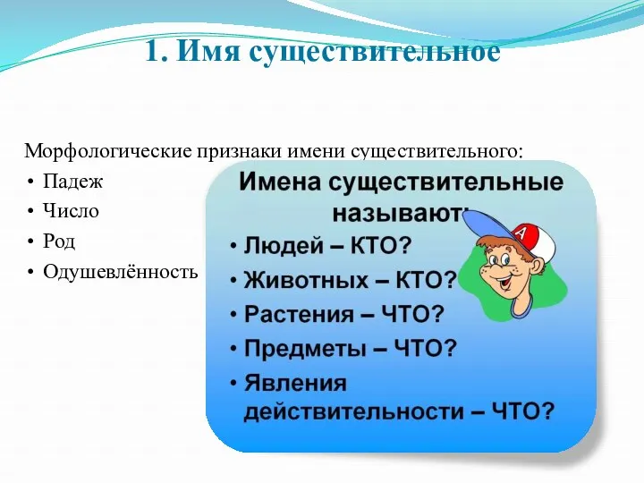 1. Имя существительное Морфологические признаки имени существительного: Падеж Число Род Одушевлённость