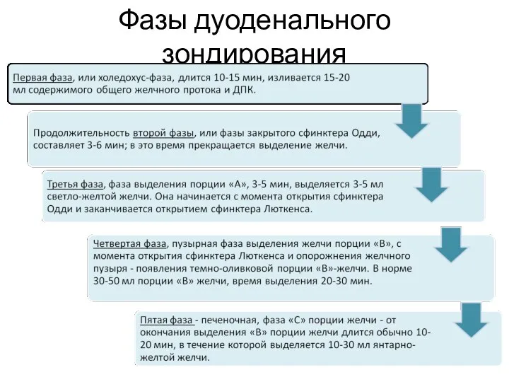 Фазы дуоденального зондирования