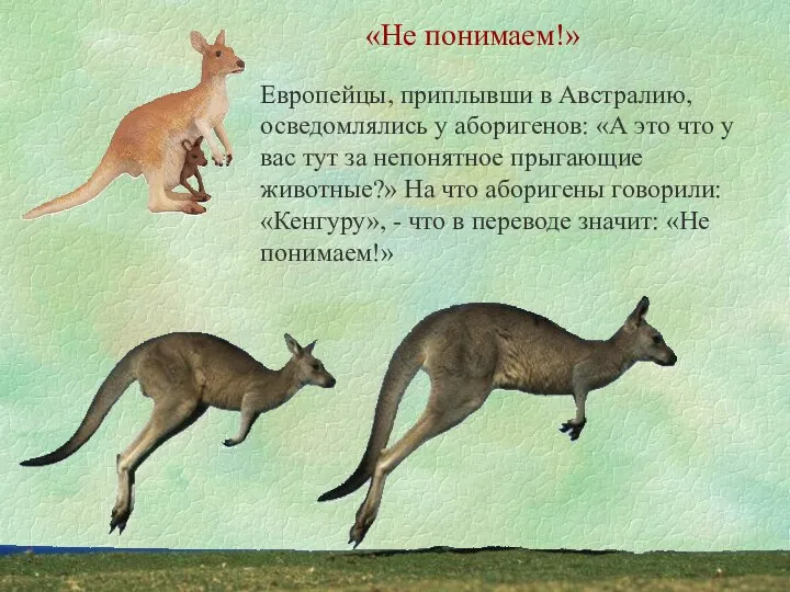 Европейцы, приплывши в Австралию, осведомлялись у аборигенов: «А это что