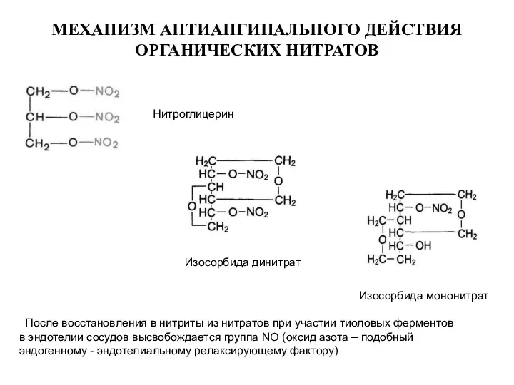 МЕХАНИЗМ АНТИАНГИНАЛЬНОГО ДЕЙСТВИЯ ОРГАНИЧЕСКИХ НИТРАТОВ Нитроглицерин После восстановления в нитриты