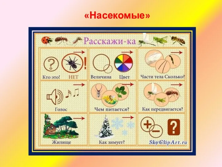 «Насекомые»