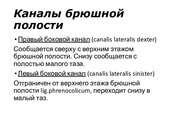 Каналы брюшной полости Правый боковой канал (canalis lateralis dexter) Сообщается сверху с верхним