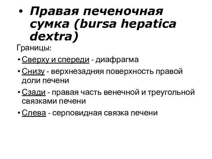 Правая печеночная сумка (bursa hepatica dextra) Границы: Сверху и спереди - диафрагма Снизу