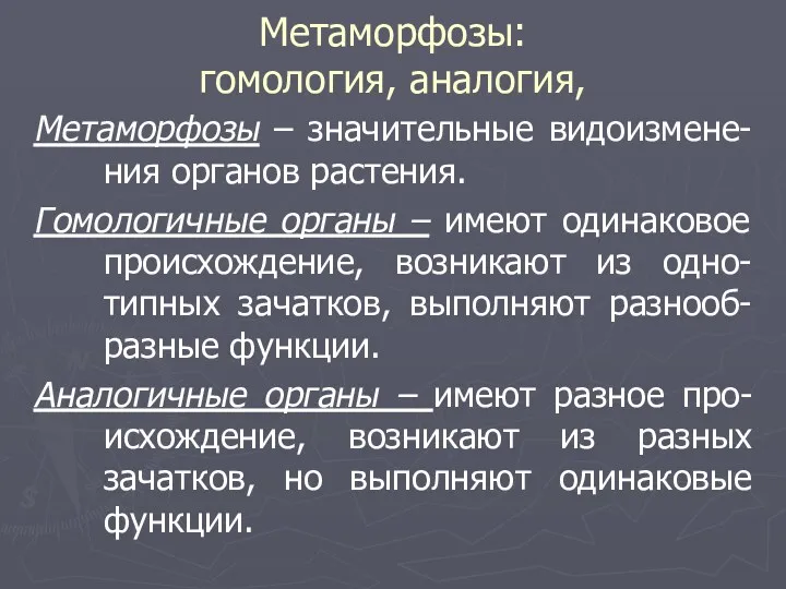 Метаморфозы: гомология, аналогия, Метаморфозы – значительные видоизмене-ния органов растения. Гомологичные