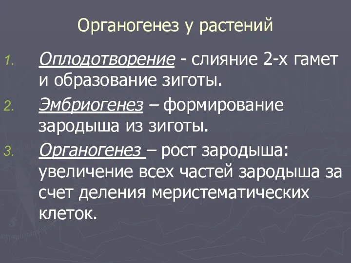 Органогенез у растений Оплодотворение - слияние 2-х гамет и образование