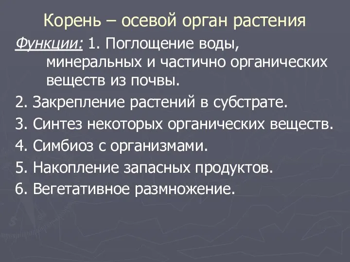 Корень – осевой орган растения Функции: 1. Поглощение воды, минеральных и частично органических