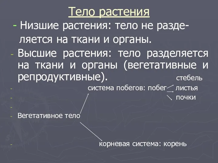 Тело растения - Низшие растения: тело не разде- ляется на ткани и органы.