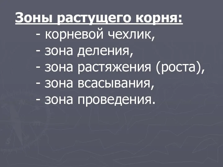 Зоны растущего корня: - корневой чехлик, - зона деления, - зона растяжения (роста),