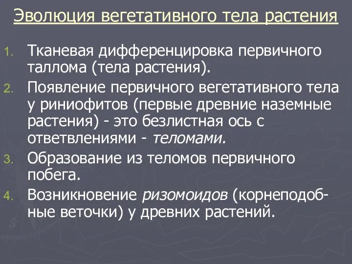 Эволюция вегетативного тела растения Тканевая дифференцировка первичного таллома (тела растения).