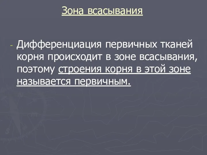 Зона всасывания Дифференциация первичных тканей корня происходит в зоне всасывания, поэтому строения корня