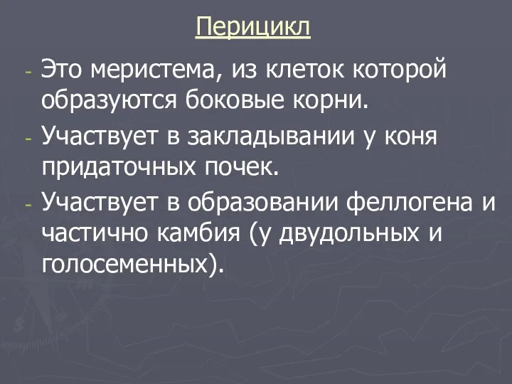 Перицикл Это меристема, из клеток которой образуются боковые корни. Участвует