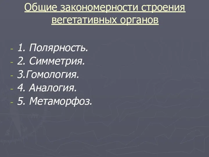 Общие закономерности строения вегетативных органов 1. Полярность. 2. Симметрия. 3.Гомология. 4. Аналогия. 5. Метаморфоз.