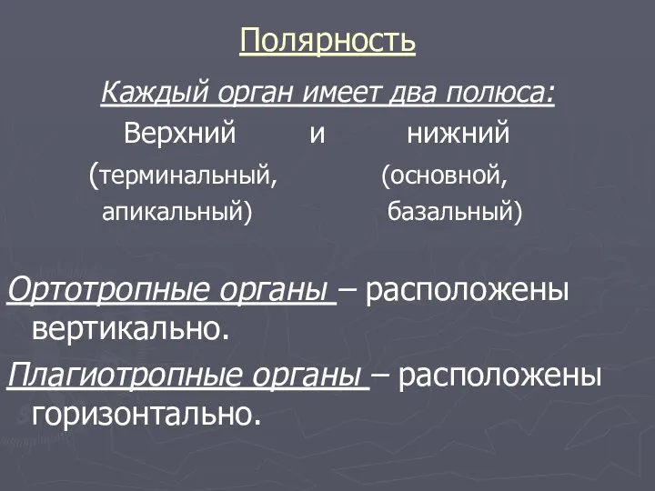 Полярность Каждый орган имеет два полюса: Верхний и нижний (терминальный, (основной, апикальный) базальный)