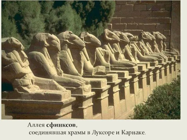 Аллея сфинксов, соединявшая храмы в Луксоре и Карнаке.