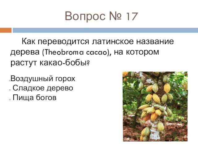 Вопрос № 17 Как переводится латинское название дерева (Theobroma cacao),