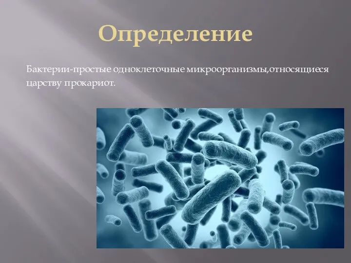 Определение Бактерии-простые одноклеточные микроорганизмы,относящиеся царству прокариот.