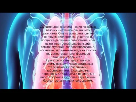 Дыхательная система – один из самых важных «механизмов» нашего организма. Она не только