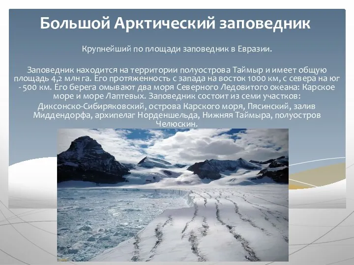 Большой Арктический заповедник Крупнейший по площади заповедник в Евразии. Заповедник