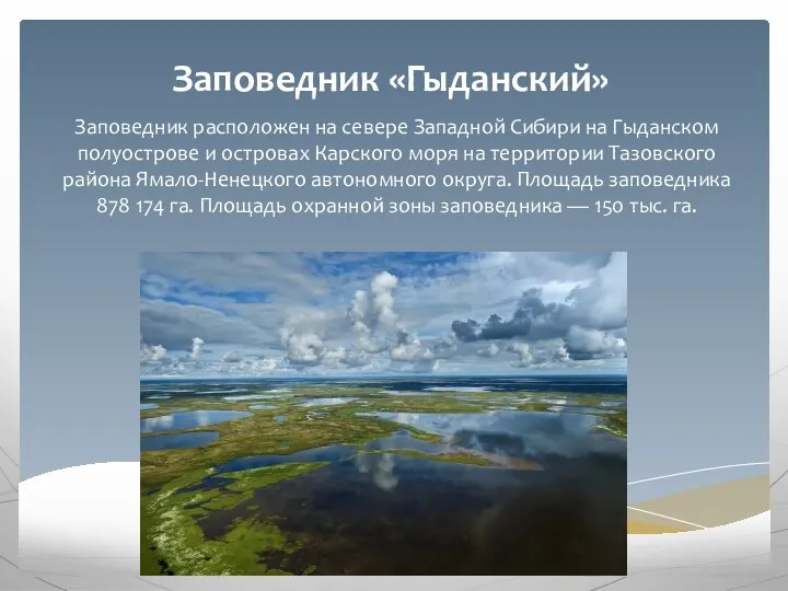 Заповедник «Гыданский» Заповедник расположен на севере Западной Сибири на Гыданском