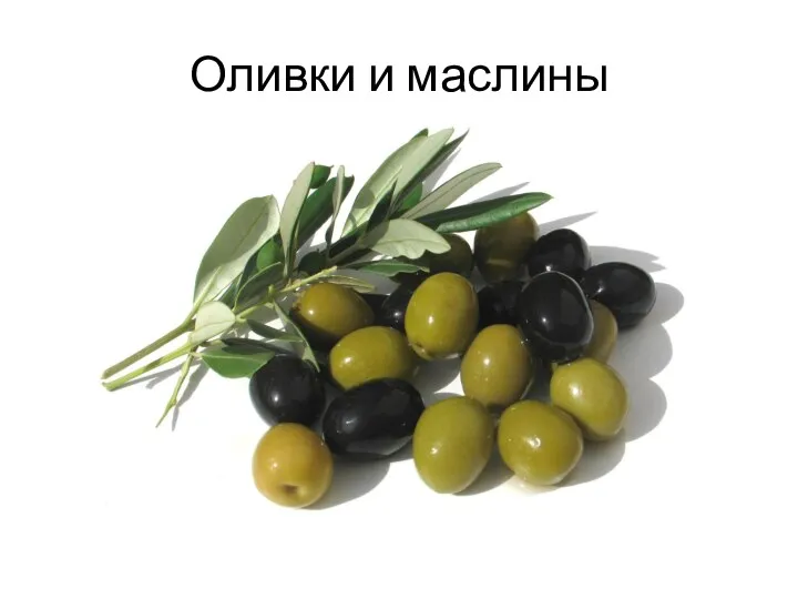 Оливки и маслины