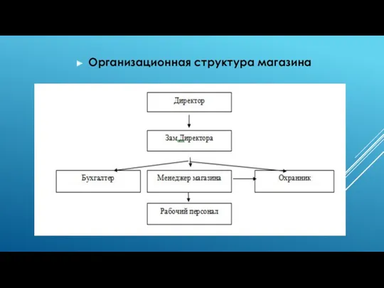 Организационная структура магазина