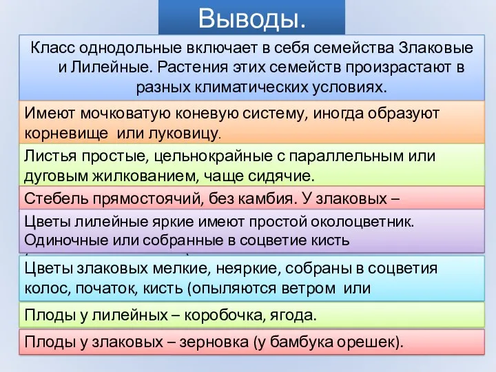 Выводы. Класс однодольные включает в себя семейства Злаковые и Лилейные.