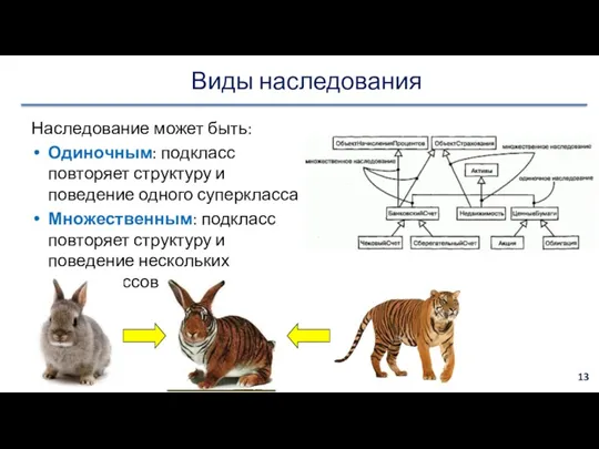 Виды наследования Наследование может быть: Одиночным: подкласс повторяет структуру и