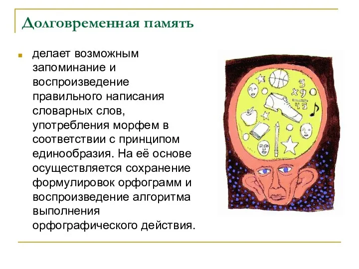 Долговременная память делает возможным запоминание и воспроизведение правильного написания словарных