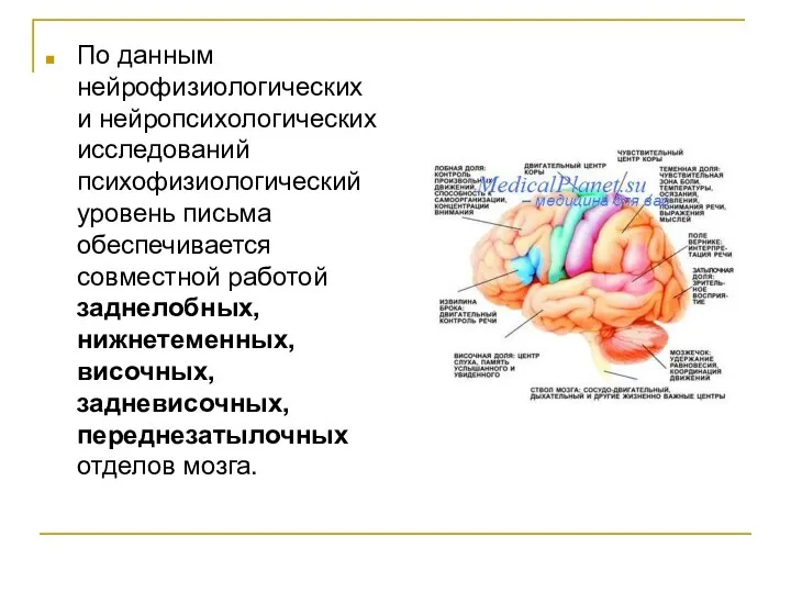 По данным нейрофизиологических и нейропсихологических исследований психофизиологический уровень письма обеспечивается