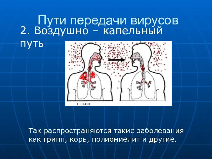 Пути передачи вирусов 2. Воздушно – капельный путь Так распространяются