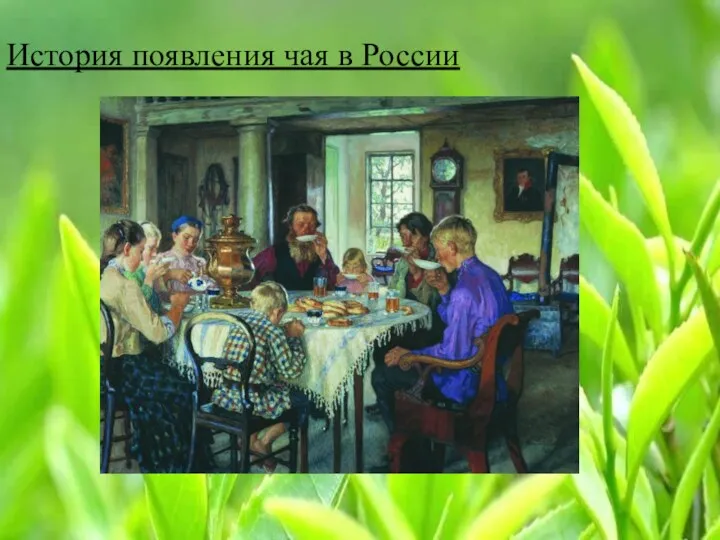 История появления чая в России