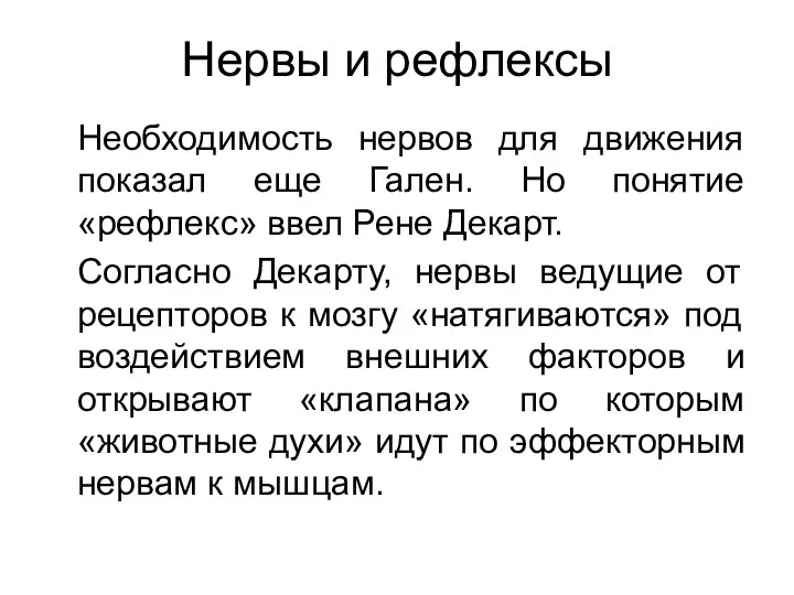 Нервы и рефлексы Необходимость нервов для движения показал еще Гален.