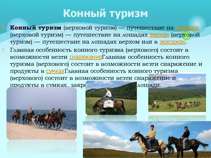 Конный туризм (верховой туризм) — путешествие на лошадях (верховой туризм)