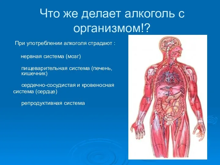 Что же делает алкоголь с организмом!? При употреблении алкоголя страдают