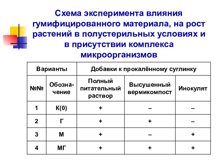 Схема эксперимента влияния гумифицированного материала, на рост растений в полустерильных условиях и в присутствии комплекса микроорганизмов