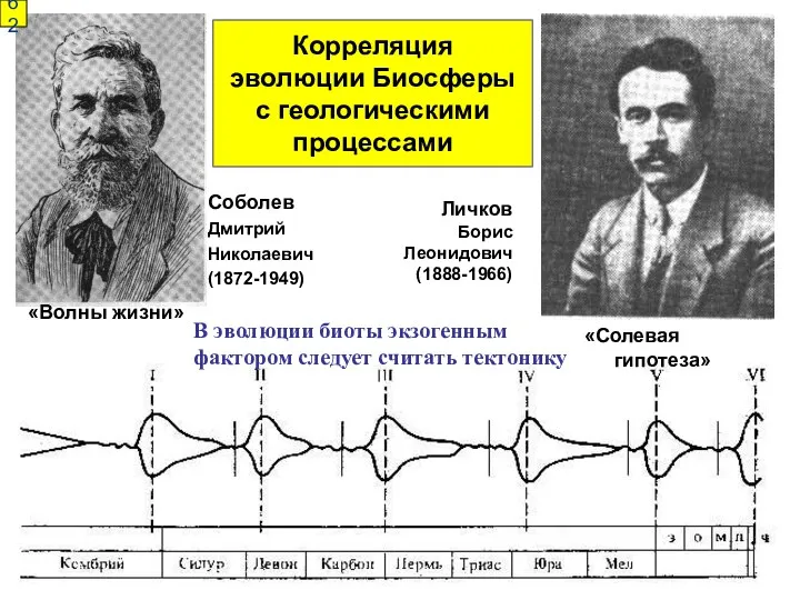 Корреляция эволюции Биосферы с геологическими процессами Соболев Дмитрий Николаевич (1872-1949)