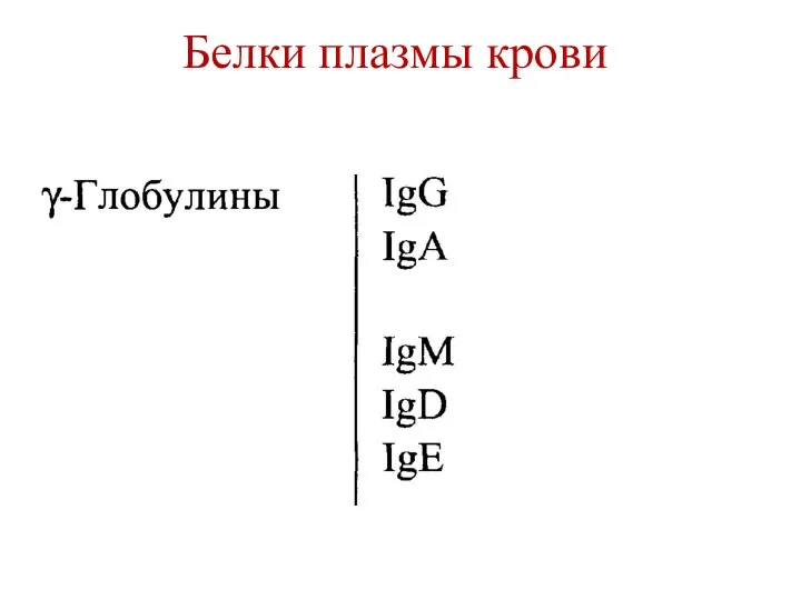 Белки плазмы крови