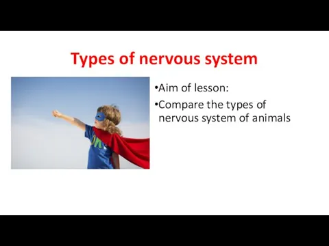 Types of nervous system