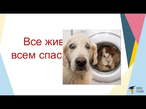 Все живы всем спасибо!