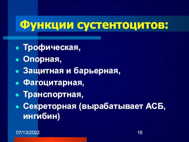 07/13/2022 Функции сустентоцитов: Трофическая, Опорная, Защитная и барьерная, Фагоцитарная, Транспортная, Секреторная (вырабатывает АСБ, ингибин)