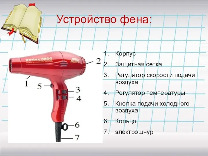 Устройство фена: Корпус Защитная сетка Регулятор скорости подачи воздуха Регулятор температуры Кнопка подачи