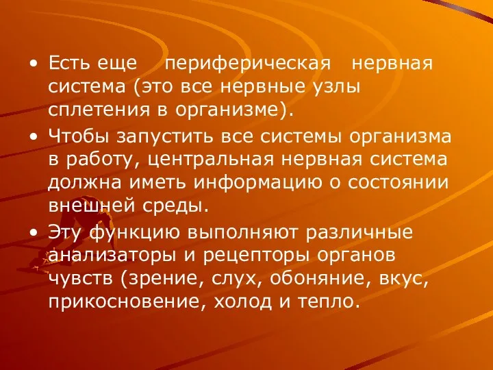 Есть еще периферическая нервная система (это все нервные узлы сплетения